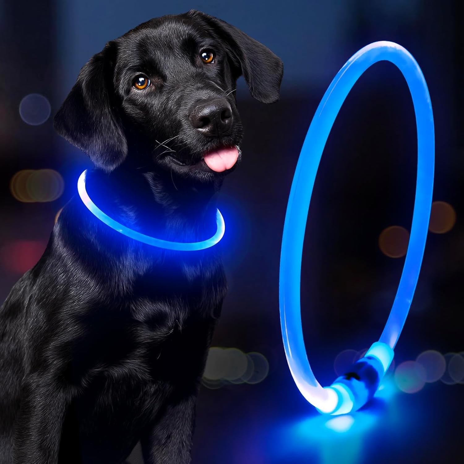 Light up dog collar