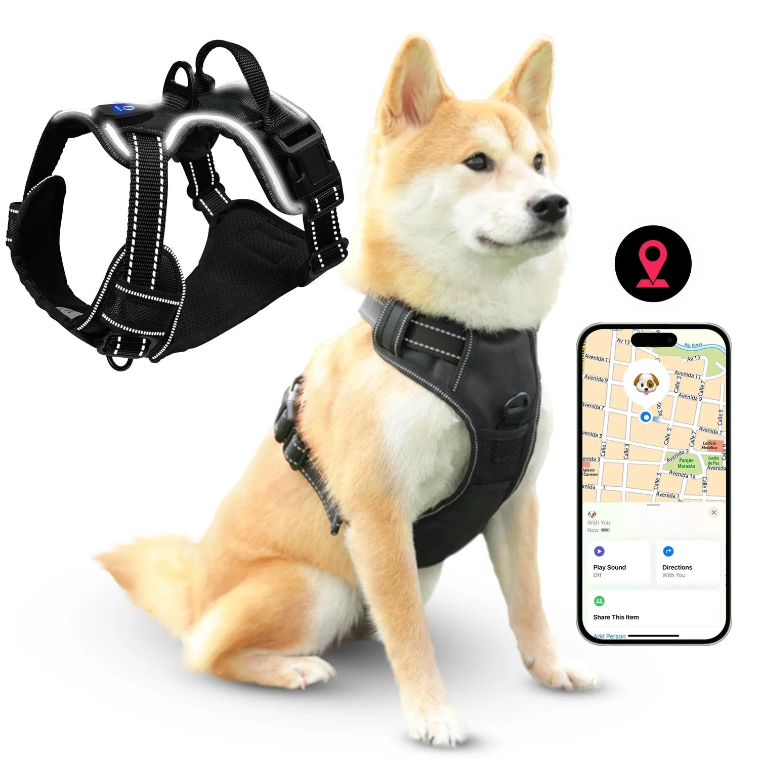 Dog Bath Towel & Tracker Light Vest