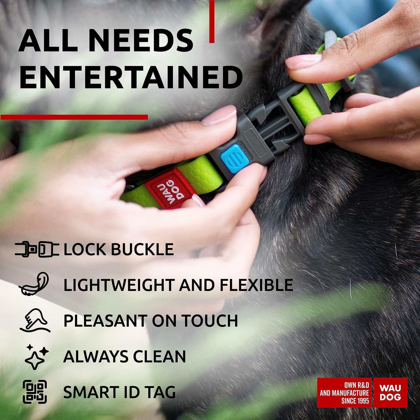 Green Waterproof Dog Collar Adjustable for Medium Dogs 1016 in Neck X 4/5 In