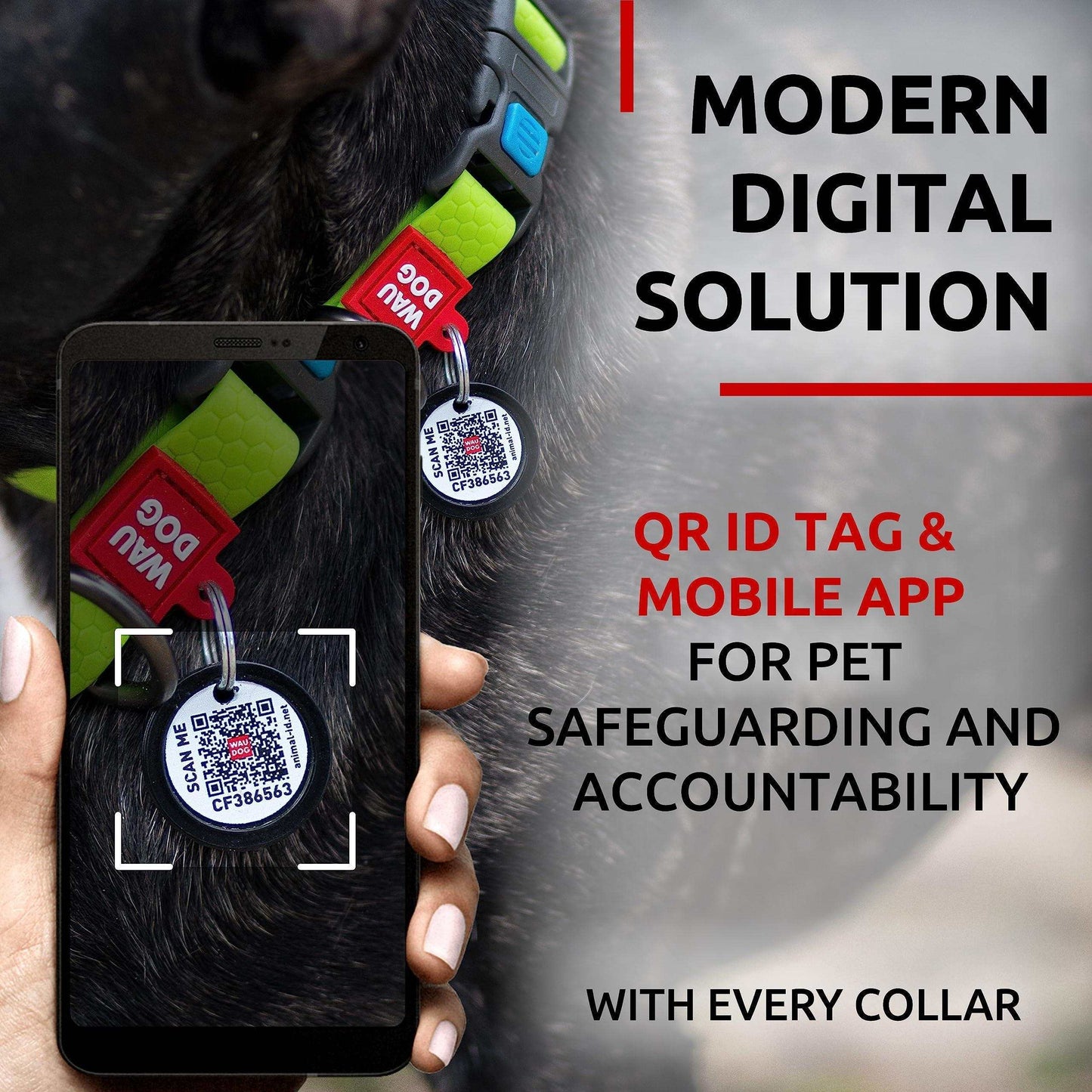 Green Waterproof Dog Collar Adjustable for Medium Dogs 1016 in Neck X 4/5 In