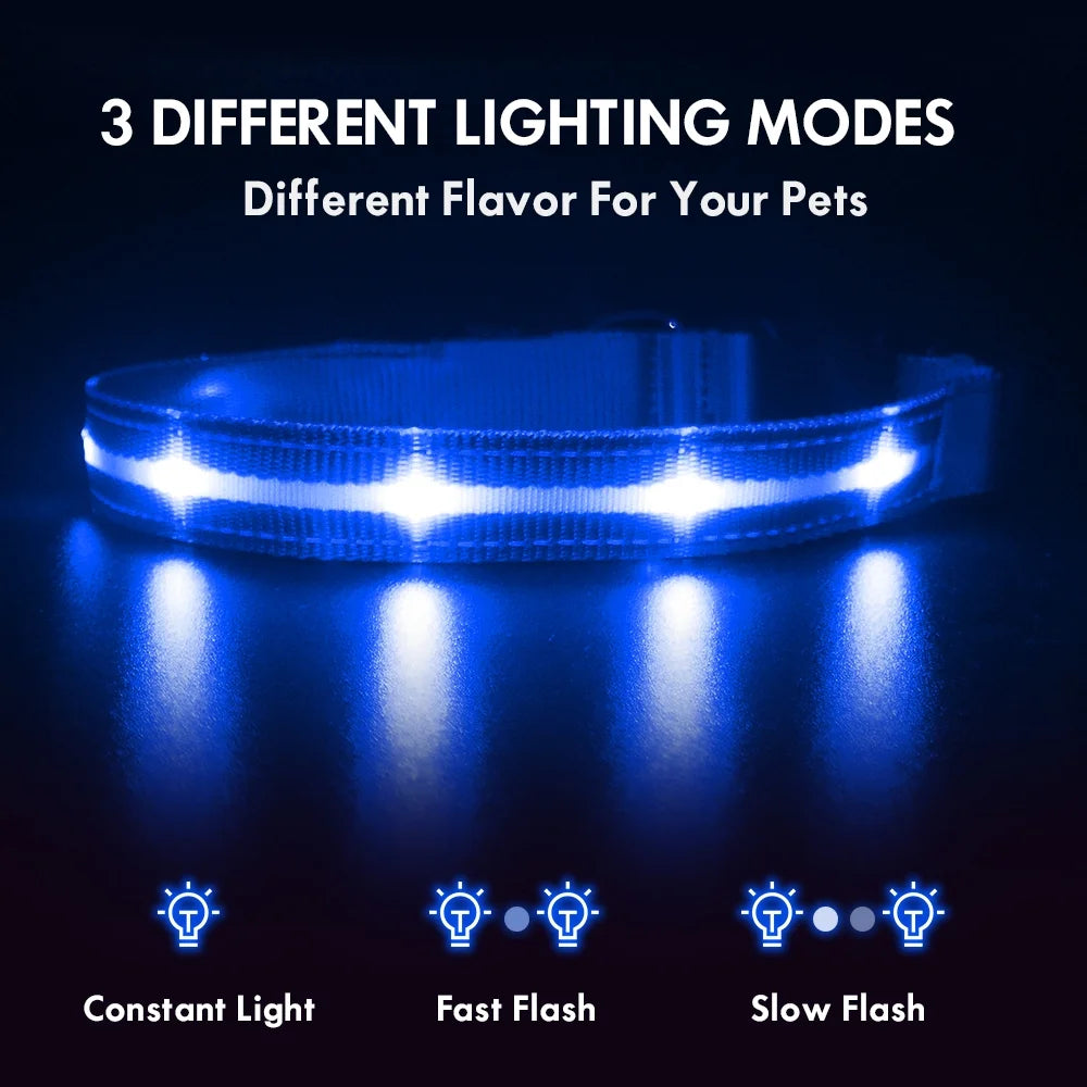 LED Dog Collar, Glowing Night Walking Light Dog Collar, Waterproof and USB Rechargeable for Small Medium Large Dogs Flashing Collar