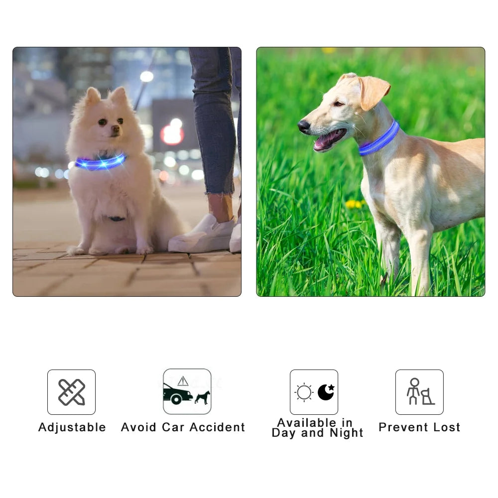 LED Dog Collar, Glowing Night Walking Light Dog Collar, Waterproof and USB Rechargeable for Small Medium Large Dogs Flashing Collar