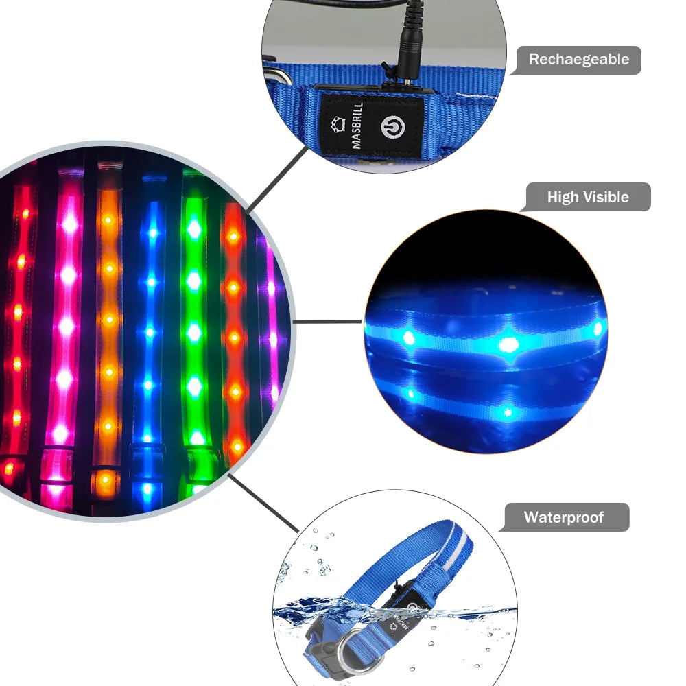 LED Dog Collar, Glowing Night Walking Light Dog Collar, Waterproof and USB Rechargeable for Small Medium Large Dogs Flashing Collar