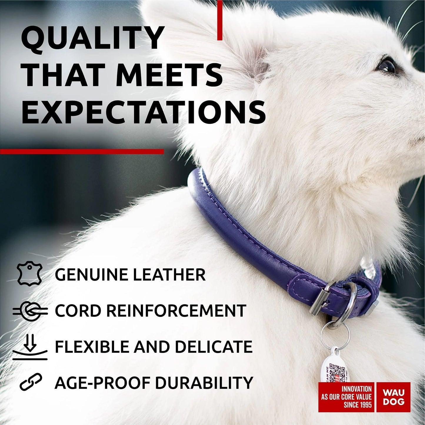Ultra Soft Rolled Leather Dog Collar for Small Dogs Soft Padded Dog Collars for Medium Dogs Puppy Collars for Large Breed Dogs Male and Female Dog Collar