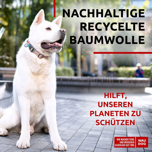 Brown Reflective Nylon Cotton Dog Collar for Large Dogs 1219 in Neck X 1 In