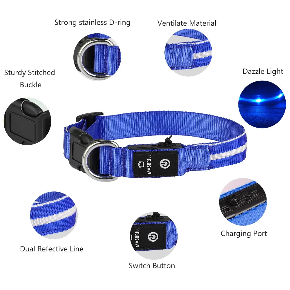 LED Dog Collar, Glowing Night Walking Light Dog Collar, Waterproof and USB Rechargeable for Small Medium Large Dogs Flashing Collar