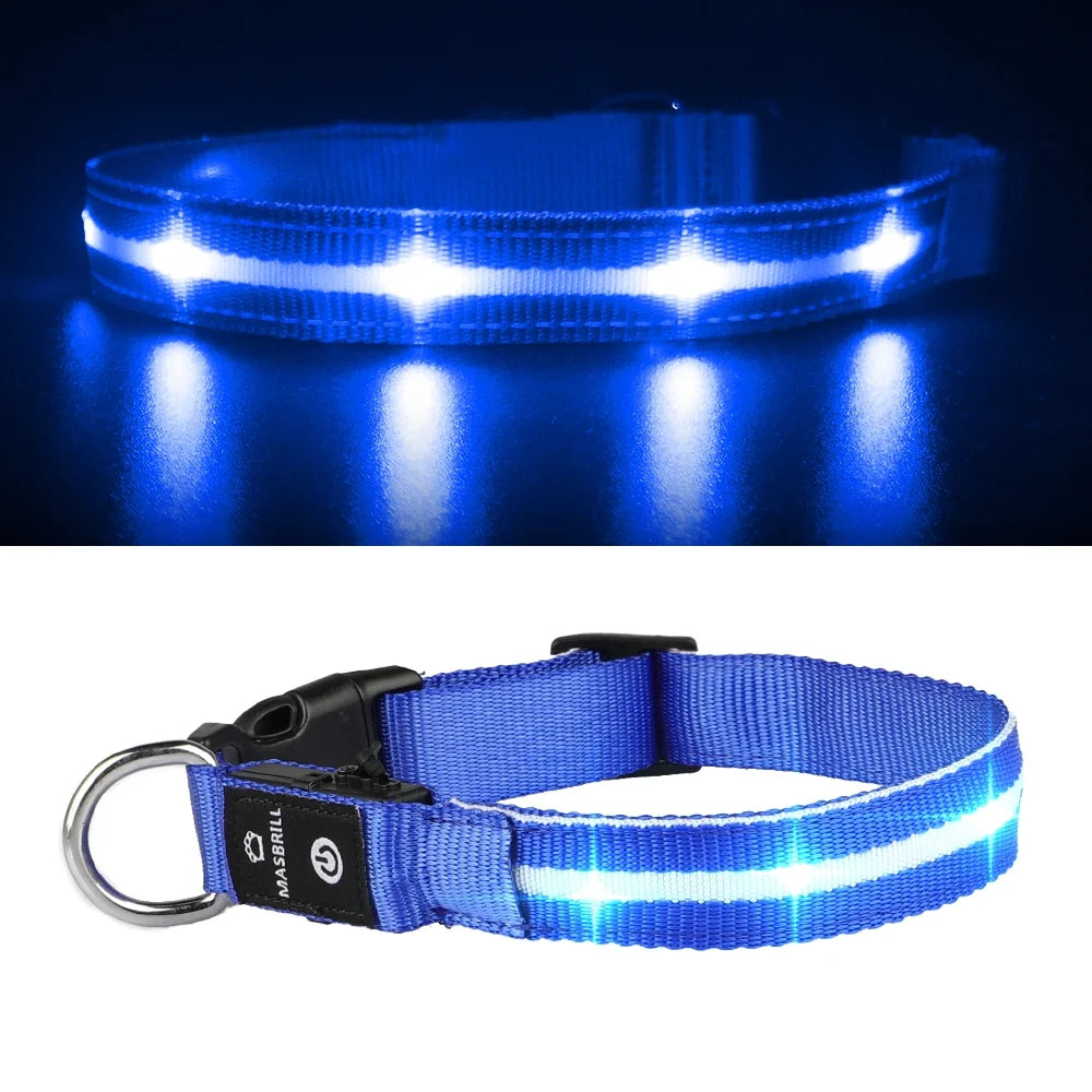 LED Dog Collar, Glowing Night Walking Light Dog Collar, Waterproof and USB Rechargeable for Small Medium Large Dogs Flashing Collar