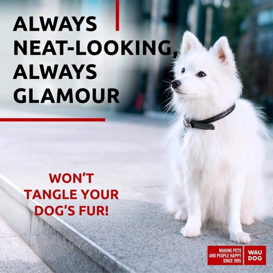 Ultra Soft Rolled Leather Dog Collar for Small Dogs Soft Padded Dog Collars for Medium Dogs Puppy Collars for Large Breed Dogs Male and Female Dog Collar