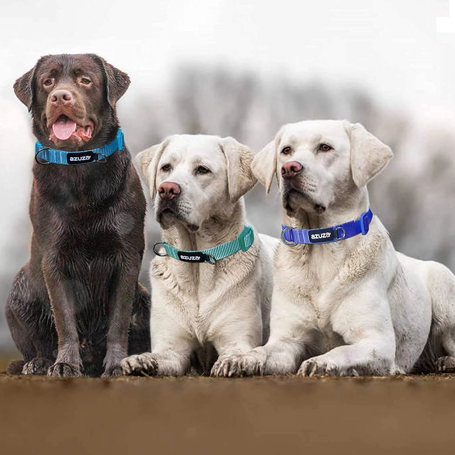 All Dog Accessories