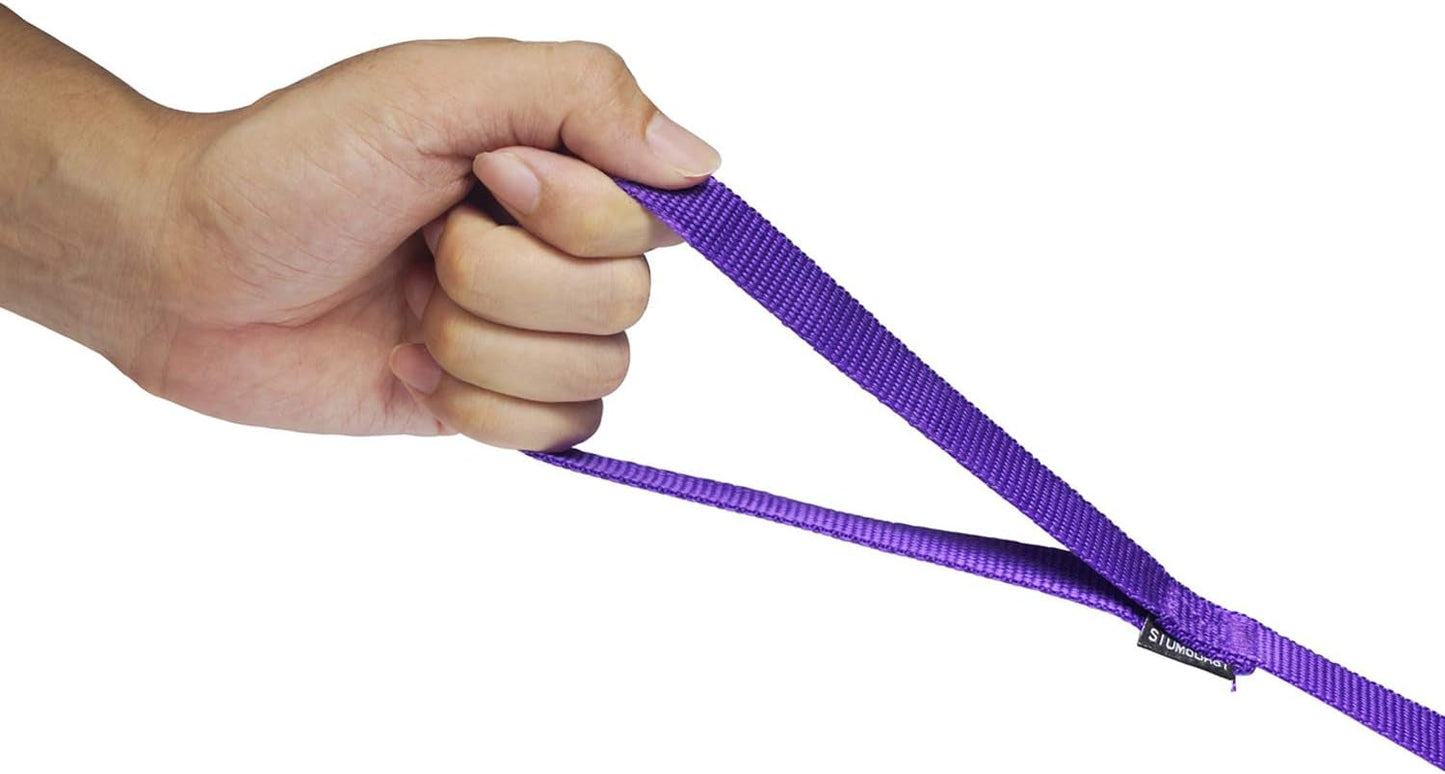 Strong Durable Nylon Dog Training Leash, 1 Inch Wide Traction Rope, 6 Ft 10Ft 15Ft Long, for Small and Medium Dog (Purple, 6 Feet)