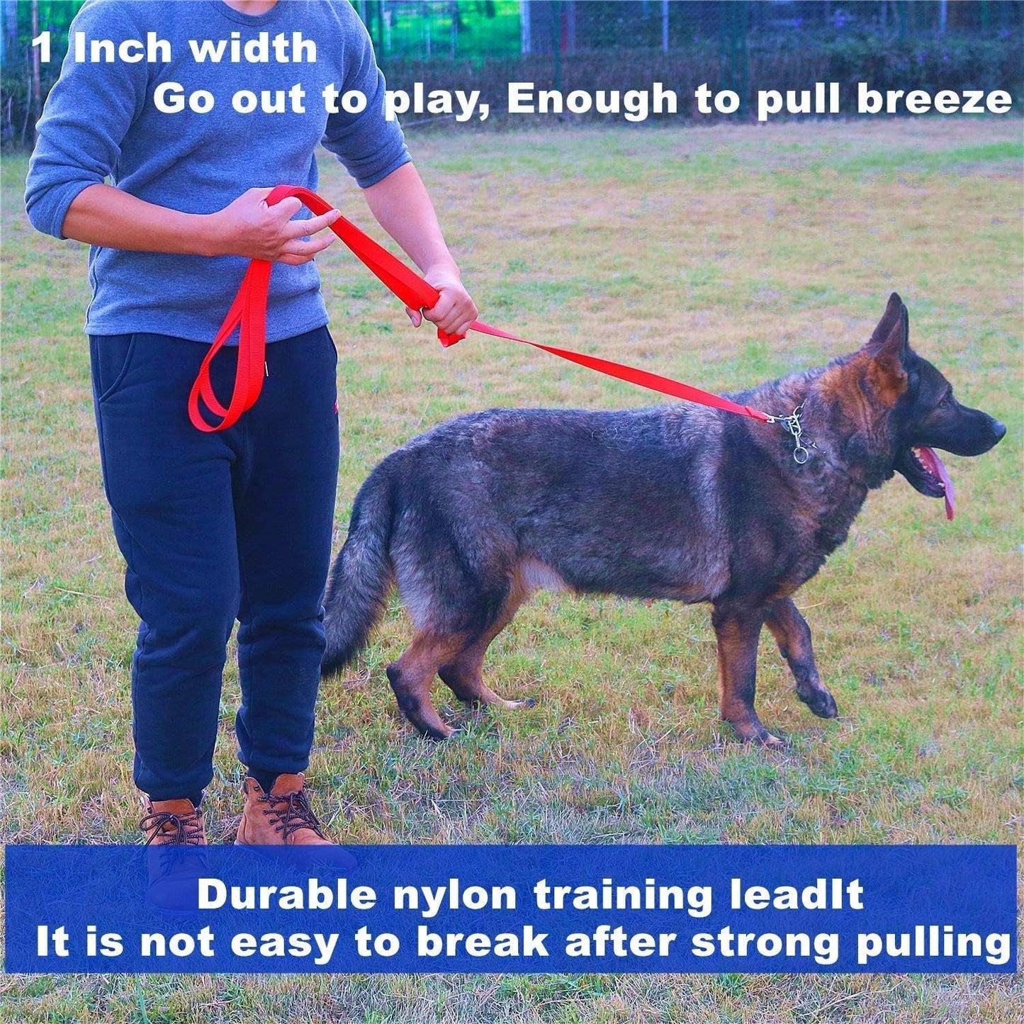 Strong Durable Nylon Dog Training Leash, 1 Inch Wide Traction Rope, 6 Ft 10Ft 15Ft Long, for Small and Medium Dog (Purple, 6 Feet)