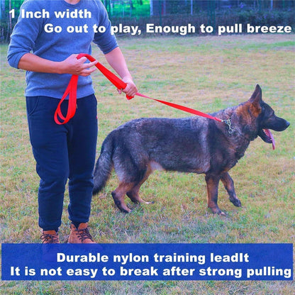 Strong Durable Nylon Dog Training Leash, 1 Inch Wide Traction Rope, 6 Ft 10Ft 15Ft Long, for Small and Medium Dog (Purple, 6 Feet)