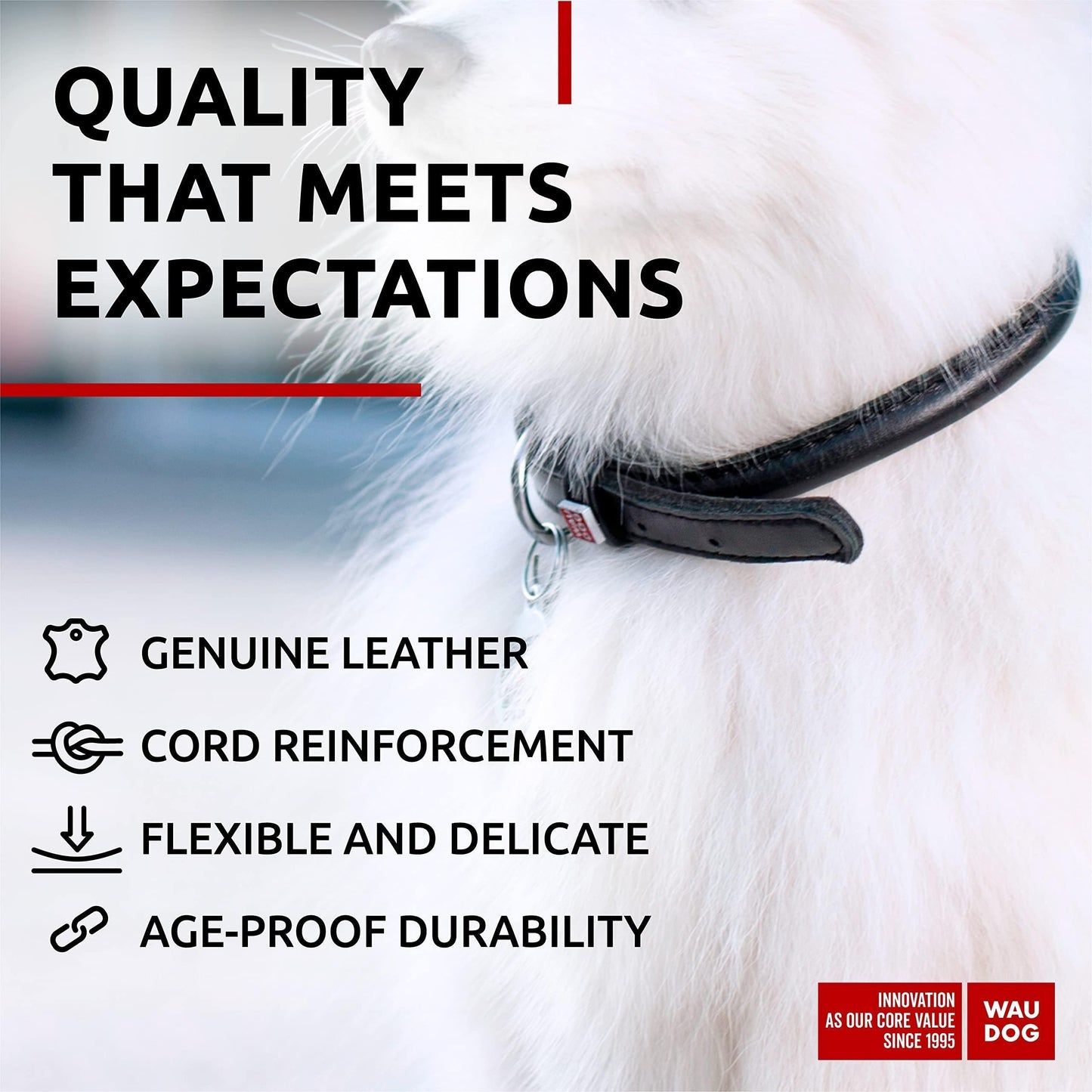 Ultra Soft Rolled Leather Dog Collar for Small Dogs Soft Padded Dog Collars for Medium Dogs Puppy Collars for Large Breed Dogs Male and Female Dog Collar