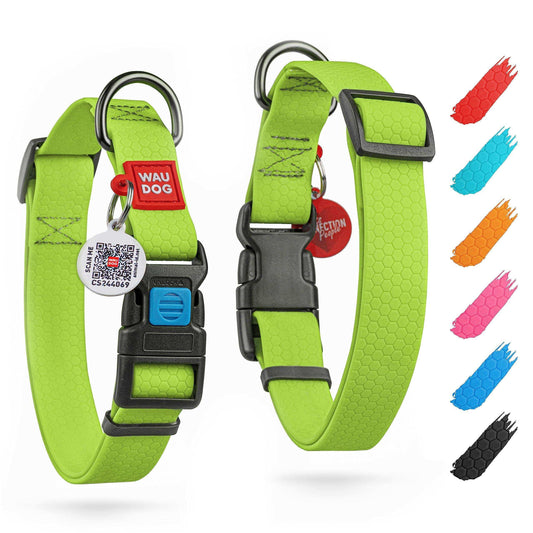 Green Waterproof Dog Collar Adjustable for Medium Dogs 1016 in Neck X 4/5 In