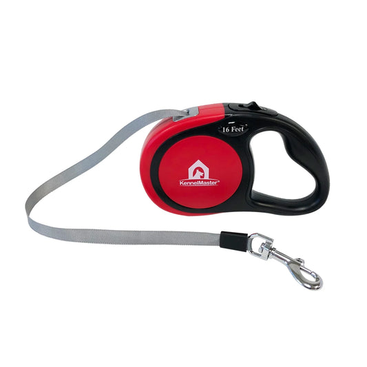 Retractable Dog Leash, Blue, Medium, 16 Feet