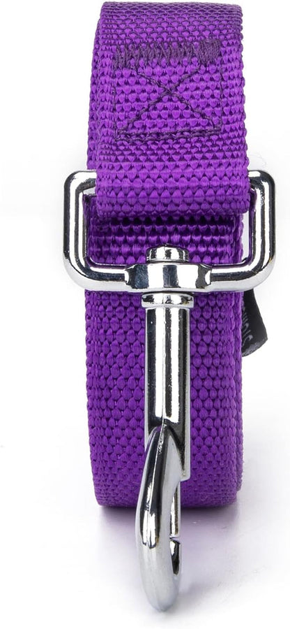 Strong Durable Nylon Dog Training Leash, 1 Inch Wide Traction Rope, 6 Ft 10Ft 15Ft Long, for Small and Medium Dog (Purple, 6 Feet)