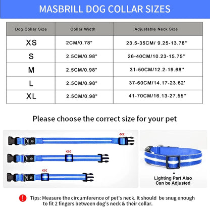LED Dog Collar, Glowing Night Walking Light Dog Collar, Waterproof and USB Rechargeable for Small Medium Large Dogs Flashing Collar