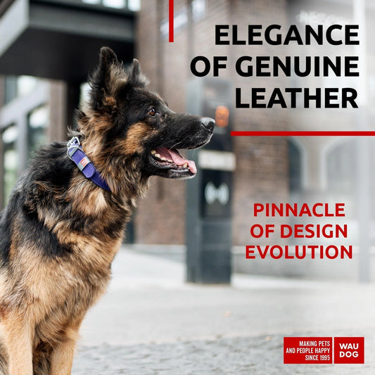 Purple Long Lasting Leather Dog Collar for Large Dogs 1520 in Neck X 1 In