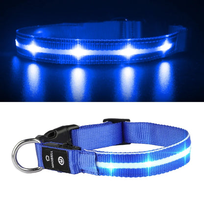 LED Dog Collar, Glowing Night Walking Light Dog Collar, Waterproof and USB Rechargeable for Small Medium Large Dogs Flashing Collar